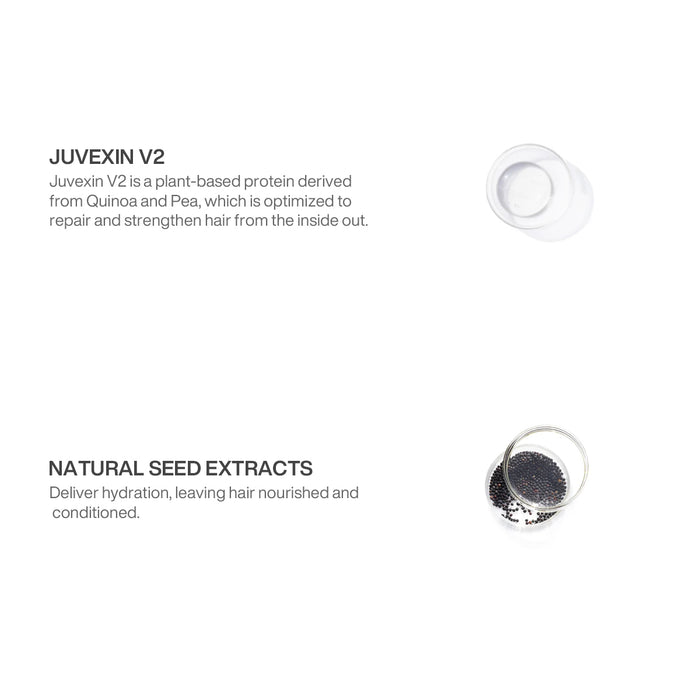 The Best Professional Hair Kit ingredients: Juvexin V2 quinoa-and-pea protein repairs and strengthens; natural seed extracts hydrate