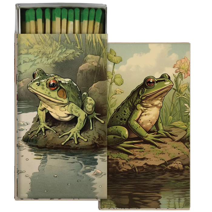 vibrant frogs/toads: match box