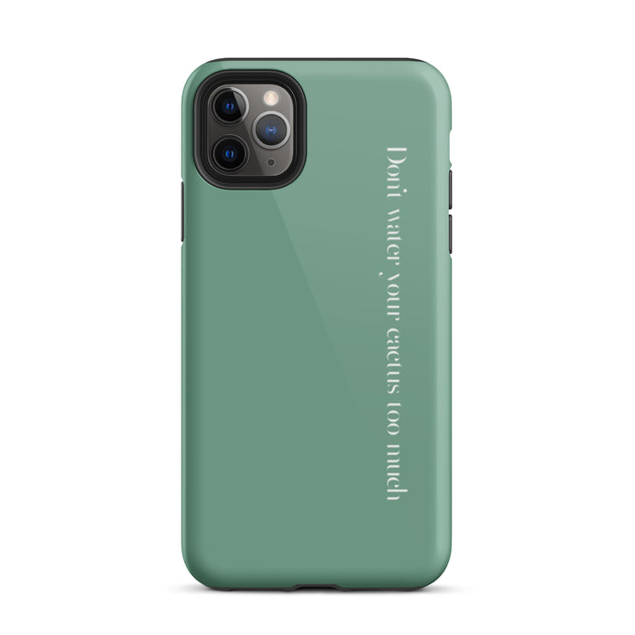 Glossy / iPhone 11 Pro Max / Green
