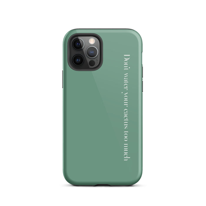 Glossy / iPhone 12 Pro / Green
