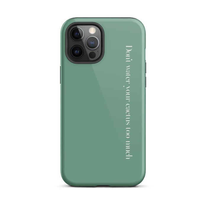 Glossy / iPhone 12 Pro Max / Green
