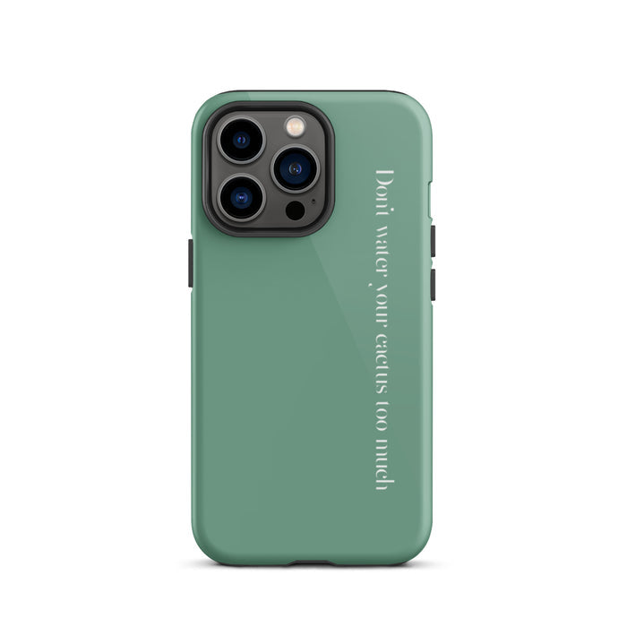 Glossy / iPhone 13 Pro / Green