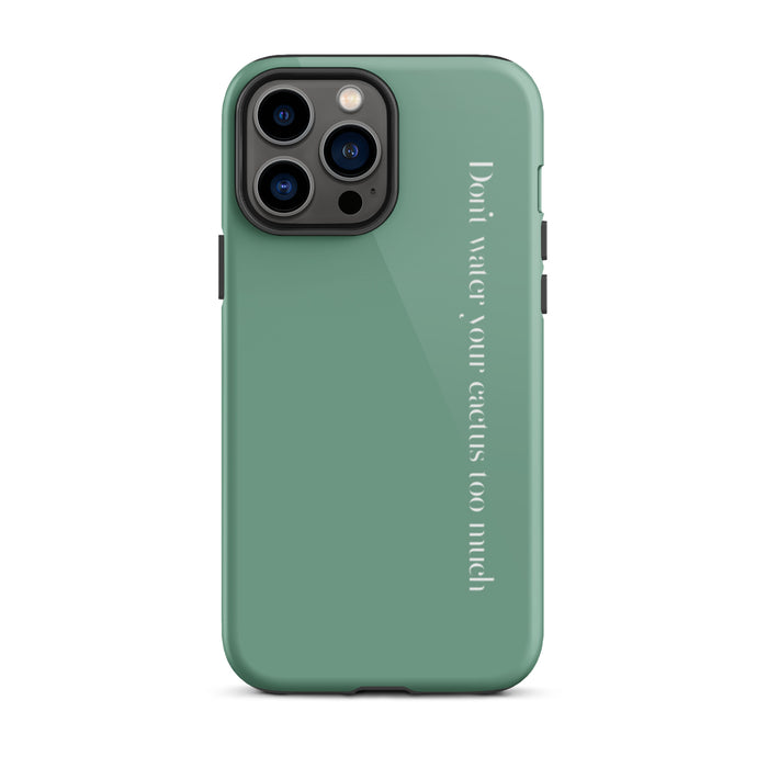 Glossy / iPhone 13 Pro Max / Green