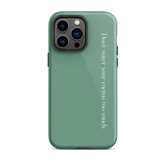 Glossy / iPhone 14 Pro Max / Green