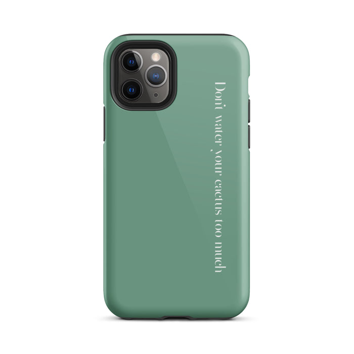 Glossy / iPhone 11 Pro / Green