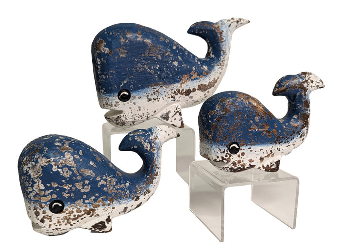 Whale, S/3