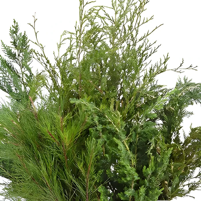 Winter Greenery Mix