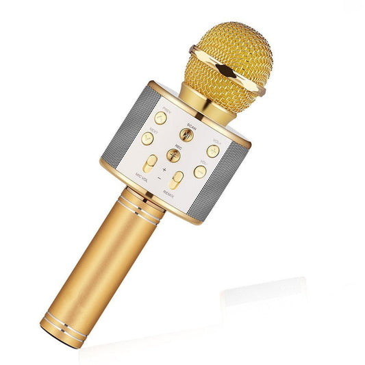 WSTER WS868 MIC SPEAKER WITH LED