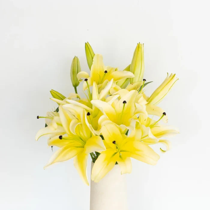 Oriental Lily Concador Flower Vase - Image