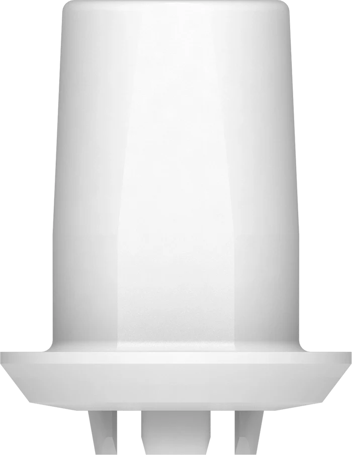 ZERAMEX-XT Straight Abutment (incl. Screw)